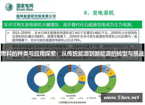燃料的种类与应用探索：从传统能源到新能源的转型与挑战